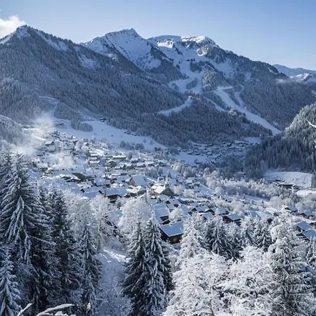 Moulin Ml149 Mountain & Telecabine 6 Pers Châtel