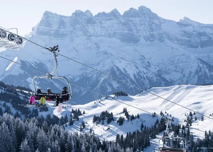 Apartment Moulin Ml149 Mountain & Telecabine 6 Pers Chatel