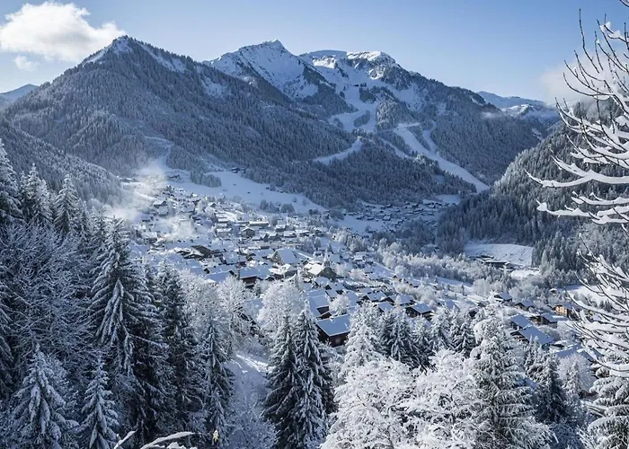 Moulin Ml149 Mountain & Telecabine 6 Pers Chatel
