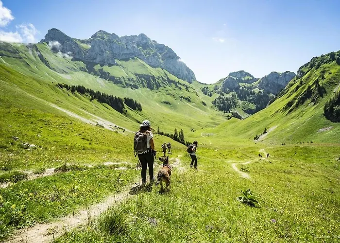Moulin Ml149 Mountain & Telecabine 6 Pers * Chatel